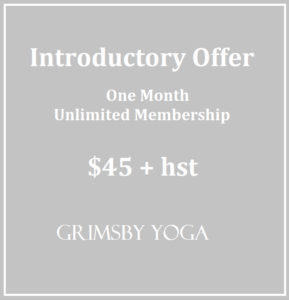 Introductory Offer