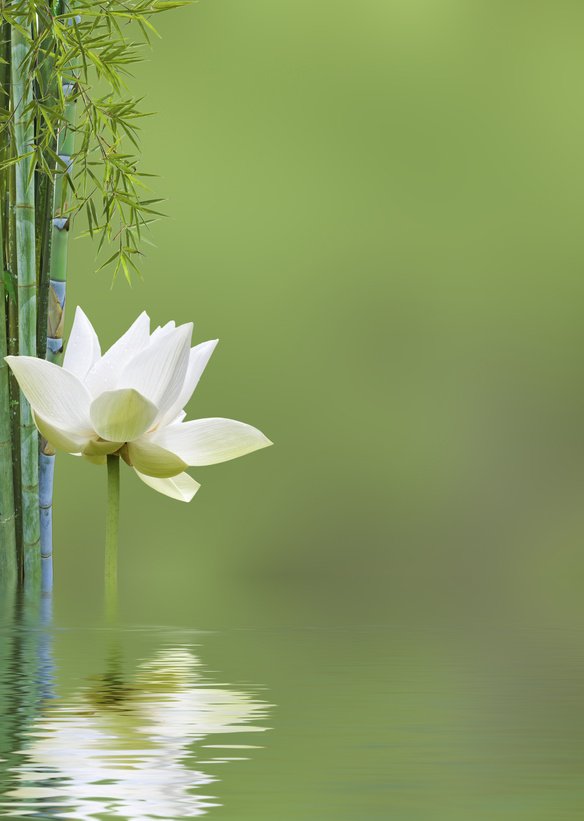 Reiki